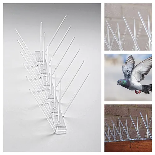 Bird Spikes 1 bird-spikes-anr-enterprises