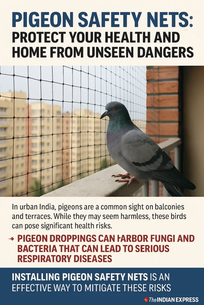 Pigeon Safety nets