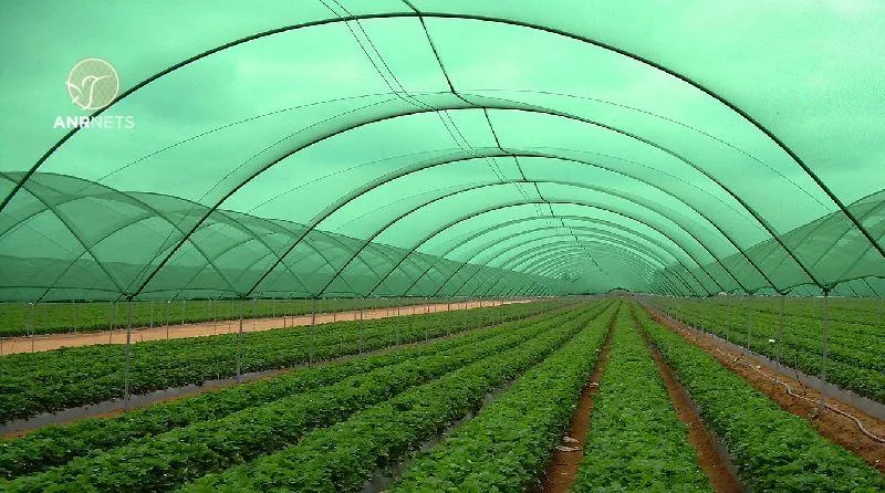 Shade Nets 1 Shade cloth for plants