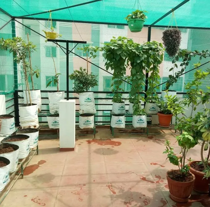 Terrace Top Safety Nets 2 Terrace fall prevention