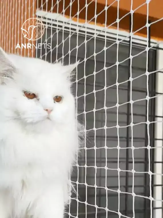 Pets Safety Nets 1 Safety Net Installation