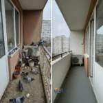 Top 10 Reasons Your Balcony Needs Pigeon Safety Nets